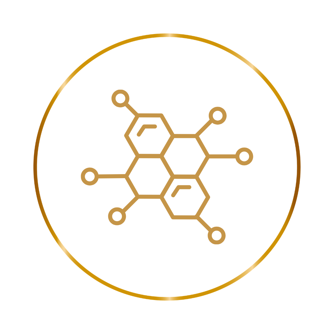 Protocolos integrativos