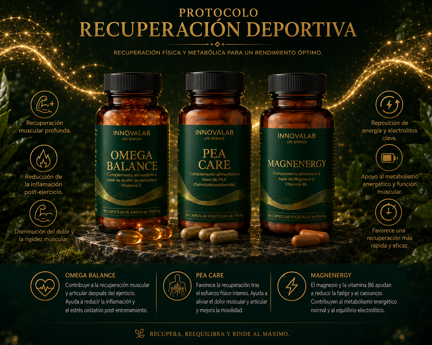 protocolo recuperacion deportiva innovalab