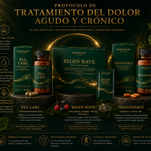 protocolo dolor agudo y crónico